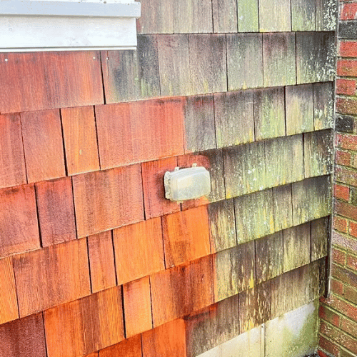 Prime Layer Painting project photo 18