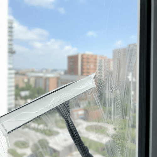 Oliveira's Sparkling Exterior Cleaning project photo 3