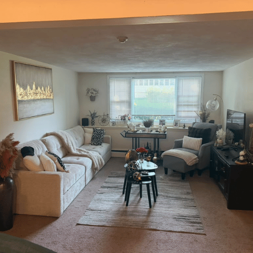 VR Cleaning Services project photo 12