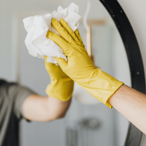 Bathroom Cleaning